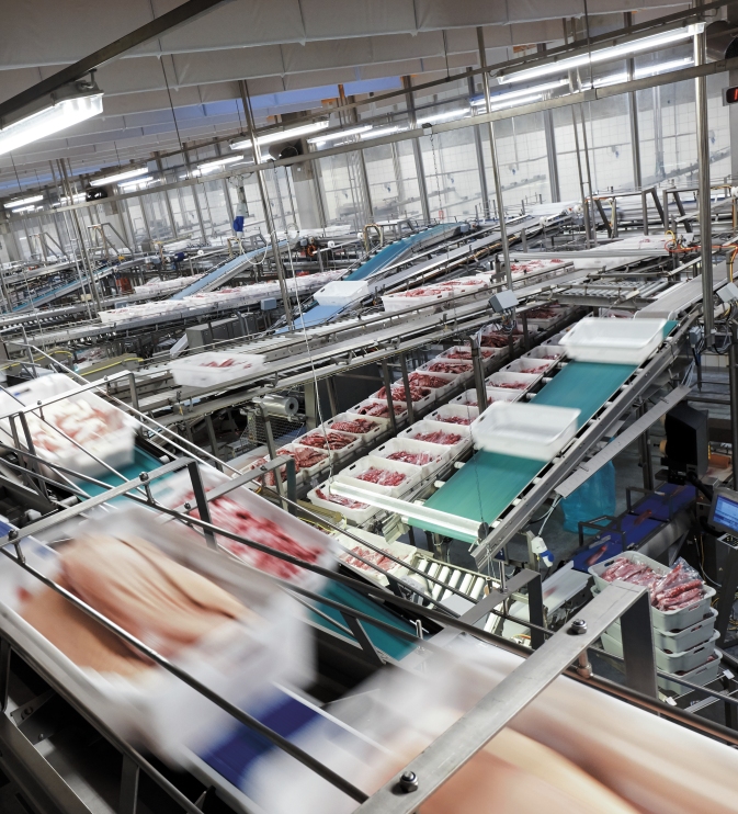 Transportbånd med kødbakker i en fødevareproduktion
